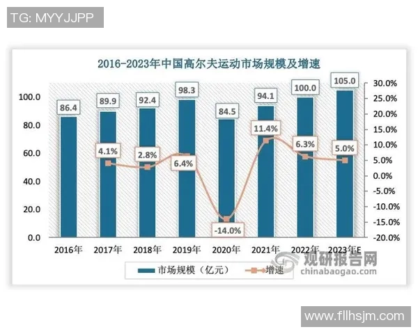 上海羽毛球队灵活性深度解析与其他球队的对比分析