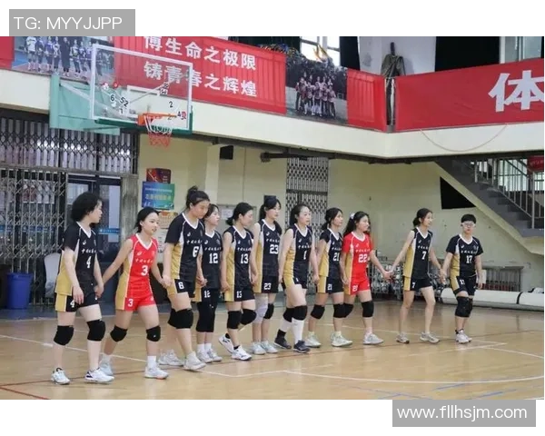 武汉排球队逆袭之旅的真实记录与奋斗精神展现