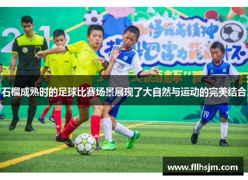 石榴成熟时的足球比赛场景展现了大自然与运动的完美结合