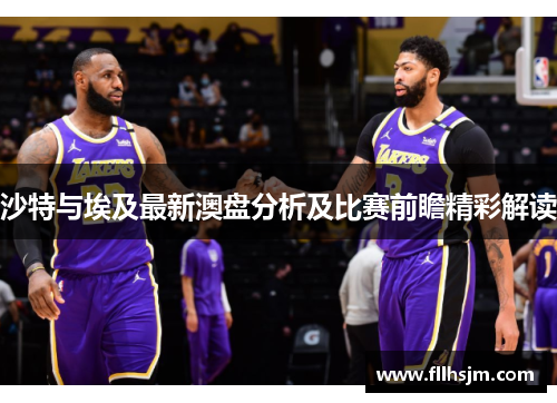 沙特与埃及最新澳盘分析及比赛前瞻精彩解读