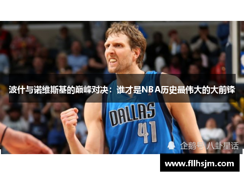 波什与诺维斯基的巅峰对决：谁才是NBA历史最伟大的大前锋